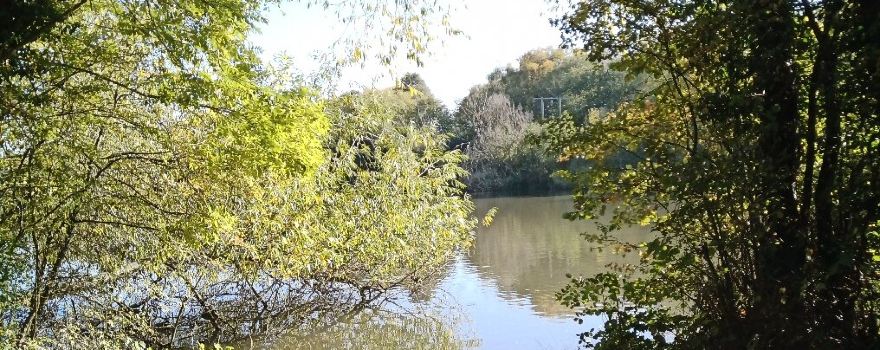 Langold Country Park