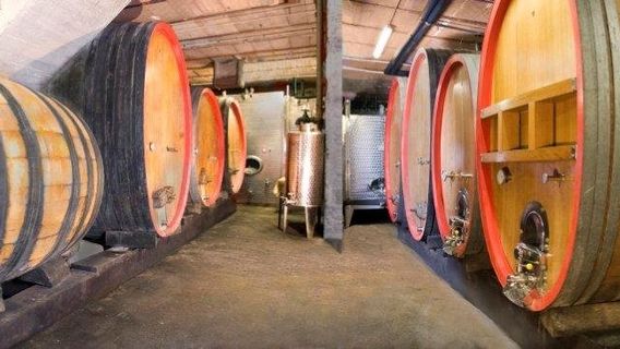 Domaine Claude et Christophe Bléger