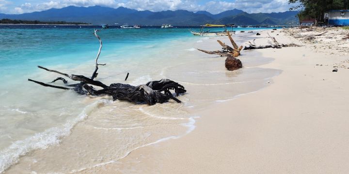 Gili Meno Sea Turtle Sanctuary