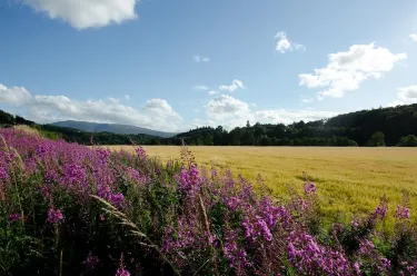 Old Craigellachie Bridge