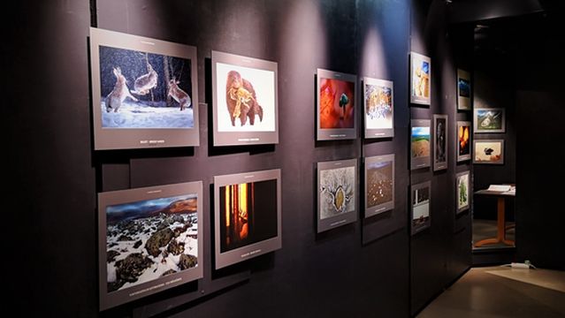 Natural History Museum