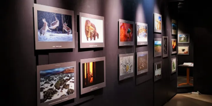 Natural History Museum of Central Finland