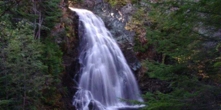 Moore Creek Falls