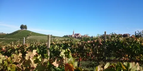 Cantina Hilberg Pasquero