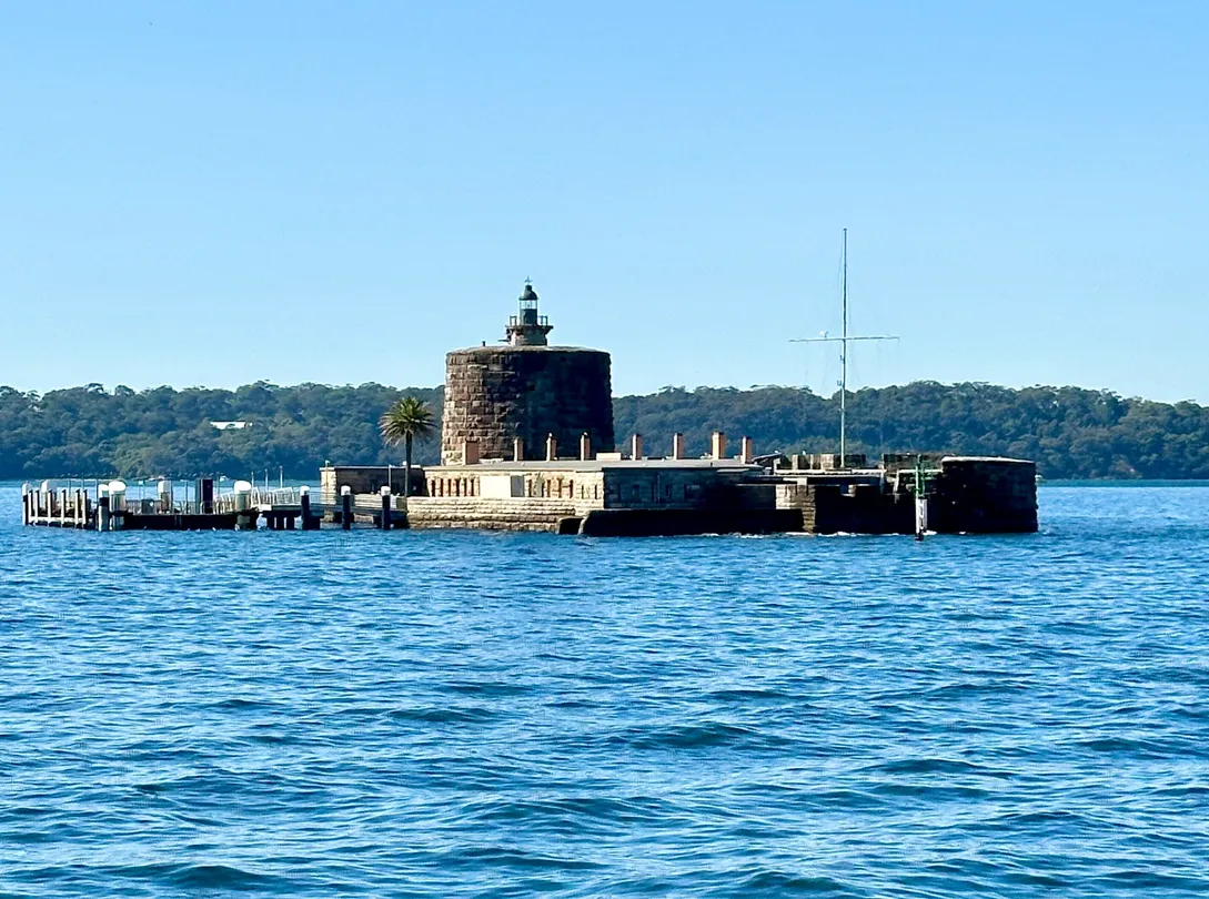 5_Go Whale Watching Sydney