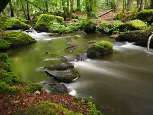Hölle Nature Reserve