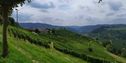 Santuario della Madonna della Neve