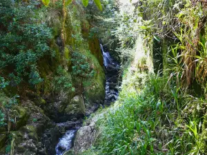 Stanley Ghyll Waterfall
