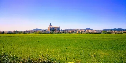 Parroquia Nuestra Senora De La Consolacion