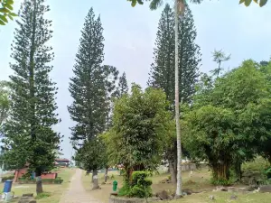 Rock Garden