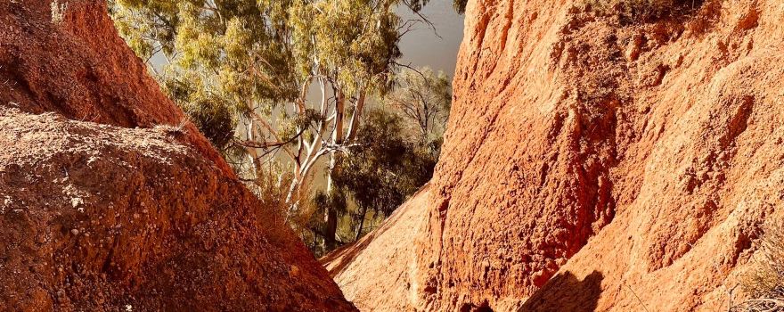 Red Cliffs