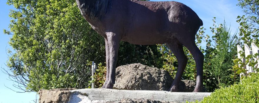 Statue of Stag