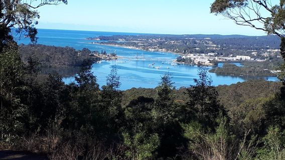 Holmes lookout