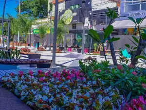 Peatonal Rivadavia