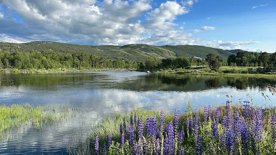 Slåttahølen fiskeplass