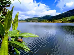 Lago Arce