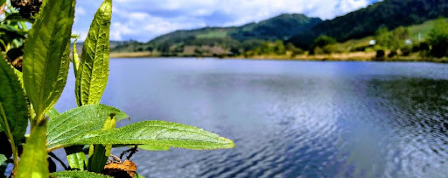 Lago Arce