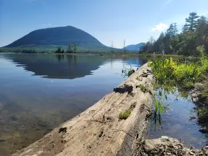 Moosehead Area Guide Service