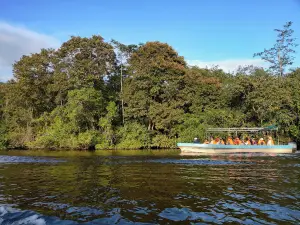 Klias River Cruise
