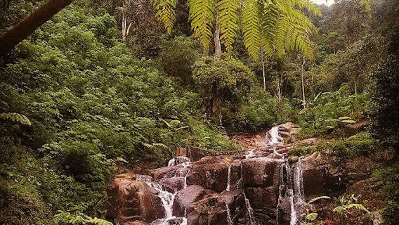 Curug Sijengglung