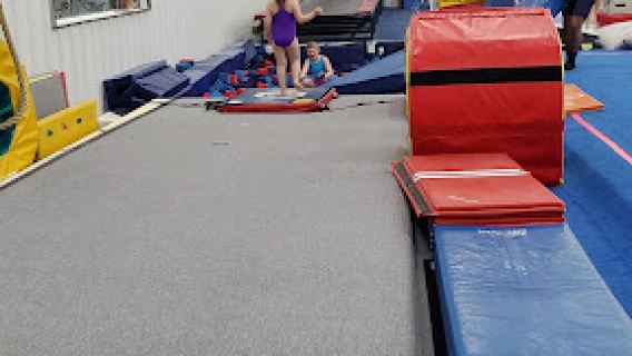 Level Up Gymnastics
