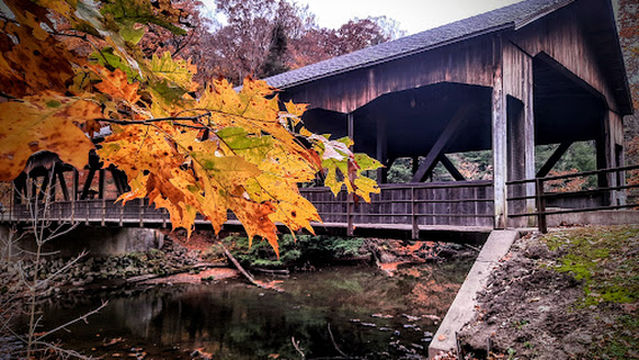 Mohican-Memorial State Park