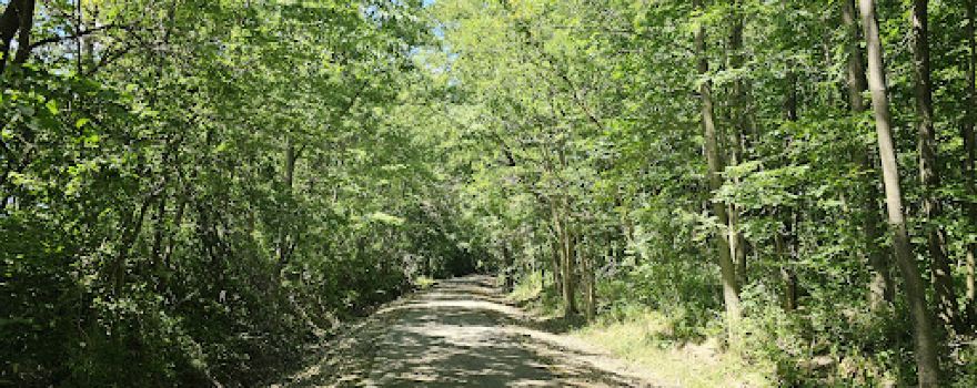 Nickel Plate Trail Parking