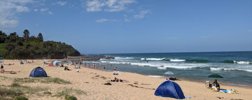 Coledale Beach Reserve