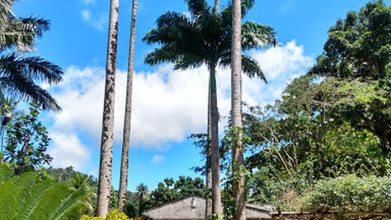 Cachoeira Paraiso - Guaiuba