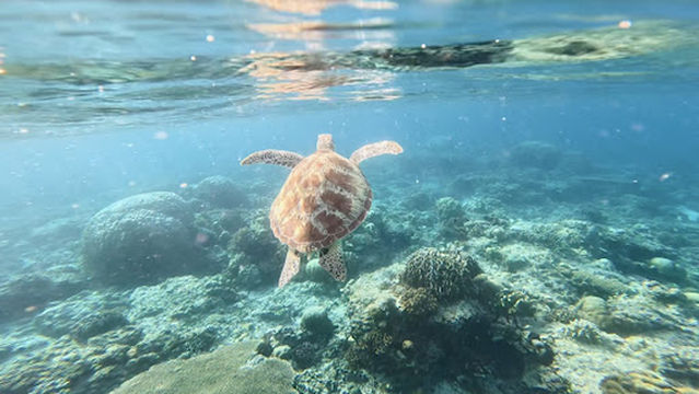 Utopia Catamaran Ticket Office