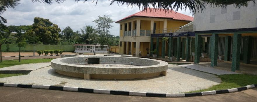 The Sage, Chief Obafemi Awolowo