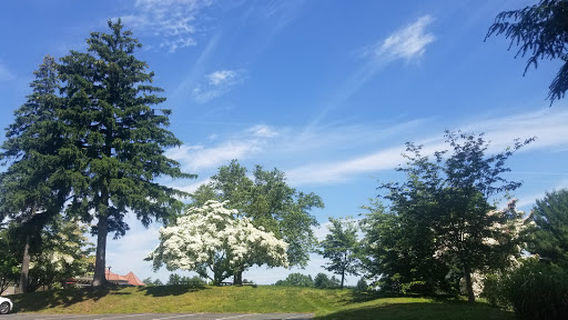 New Haven Country Club