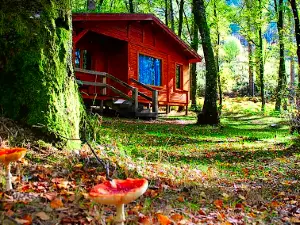 Camping de Lamas de Mouro