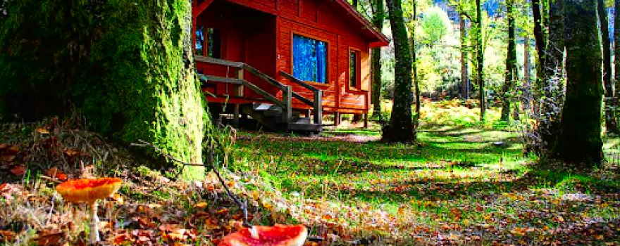 Camping de Lamas de Mouro