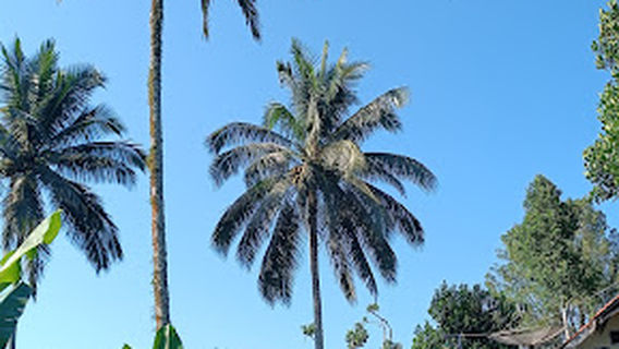 Parkir Tumpak Sewu