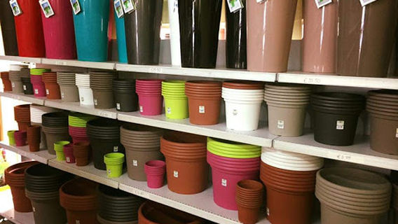 F.M. Agius Nurseries