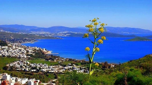 Yalıçiftlik Kumsalı