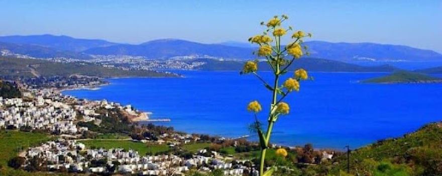 Yalıçiftlik Kumsalı