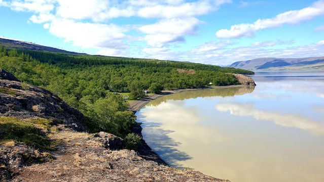 Hallormsstaður Forest