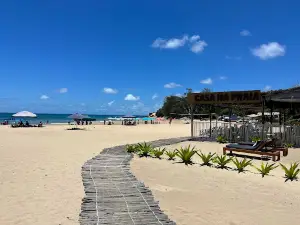 Massagem Tropical