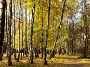 Sovky Park