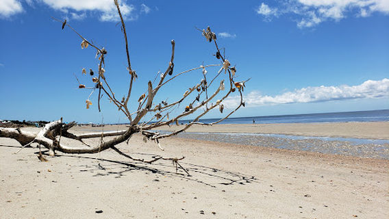 Public Beach Access 37