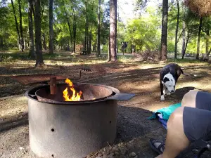 Cloud Crossing Campground