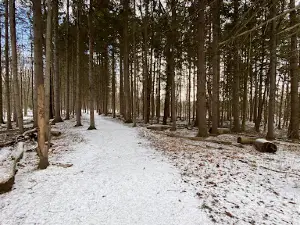 Swallow Hollow Trail / Iroquois National Wildlife Refuge