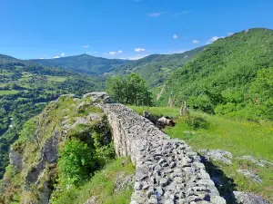 Стари-Рас