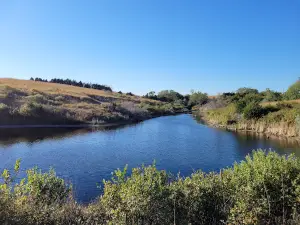 Alma Vista Overlook & Peckerneck Horse Trail