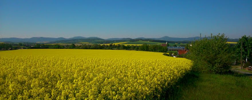 Sportplatz Oderwitz