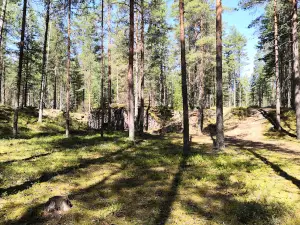 Salpa Line Fortification