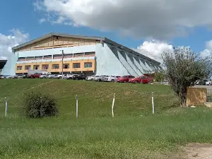 Ginásio Presidente Médici - Militão