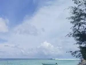 Joli